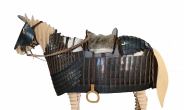 1500년전 기마병의 말, 비단으로 감싸고 철 갑옷 착용