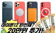 “아이폰12 완전체? 20만원 더!”…비싼 애플 악세서리 품질은 ‘망작’? [IT선빵!]