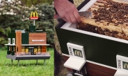맥도날드 가는 꿀벌? 19禁 비닐봉지?… 아이디어로 주목받았던 친환경 방식들[식탐]
