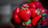 EWG 발표, 잔류 살충제 가장 많은 과일은?[식탐]