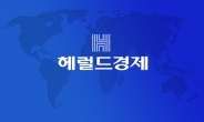 [정정보도] ‘‘지지 부탁 교통비 50만원’ 이필례 마포구의원 당선무효형 확정’ 관련