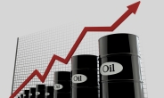 산업부 “국내 석유 수급 차질 없도록 세심히 관리”