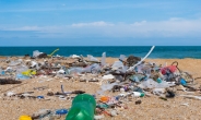 우리나라 바다 쓰레기 20%가 제주도에 있다 [지구, 뭐래?]
