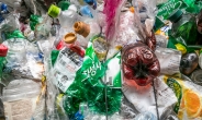 “플라스틱 분리수거만 잘하면 뭐해?” 한국이 ‘재활용 선진국’ 못 되는 이유는 [비즈360]