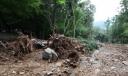 [역대급 폭우］육계 2만300마리 폐사·벼 164㏊ 침수…