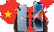 “삼성 없이는 아이폰 못 만들 줄 알았는데” 애플 신제품 화면 중국에 다 뺏기나 [비즈360]
