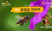 KB금융, 세계 벌의 날 맞아 ‘꿀벌을 위하여’ 영상 공개…“우리 삶과 직결되는 이야기”