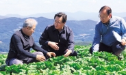 정황근 농식품부 장관, 폭염에 여름배추 수급 점검
