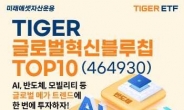 미래에셋, ‘TIGER 글로벌혁신블루칩TOP10 ETF’ 신규 상장 [투자360]