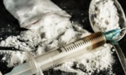 ‘마약 청정국’은 옛 말…마약사범, 올 상반기만 7000명 넘어