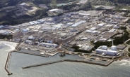 “中·日, ‘후쿠시마 오염수’ 비공개 협의 지난달 개시”