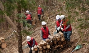 산림청, ‘소나무재선충병’ 특별방제구역 방제기간 연장 ‘총력 대응’