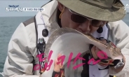 한국인 최애 생선횟감은 광어…수산물 전체 1위는 OOO