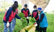 투썸플레이스 사내봉사단 출범…첫 활동은 ‘생태교란식물 제거’