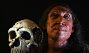 “7만5천년전 40대女 모습, 이렇습니다”…뼛조각 200개 맞추니 얼굴 나왔다