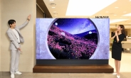 “TV 한 대가 1.8억” 삼성, 국내 최대 ‘마이크로 LED’ 예약 판매