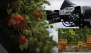 경북도, 농기계에 AI·IoT·로봇 적용 스마트 농업 기술선점