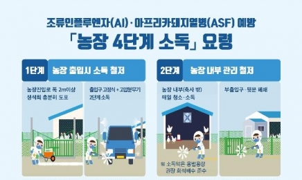 담양 육용오리 농장 고병원성 조류인플루엔자(AI) 확진