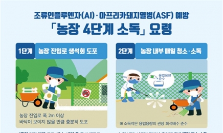 전남도,산란계농장 AI방역관리 강화