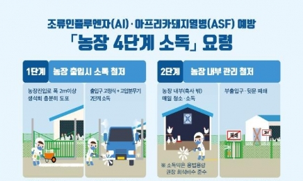 영암 육용오리 농장, 조류인플루엔자 의심사례 발생