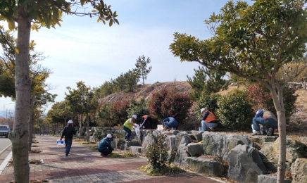 신안군, 12만주 수목 비료 시비