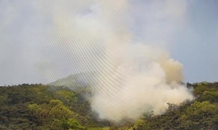 전남 화순 야산서 불…화순·보성·곡성 건조주의보