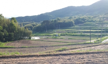 [르포] 선거에 묻힌 봄 가뭄...타들어가는 농심