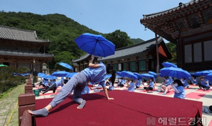 화엄사 요가대축제 온 인도문화원장 