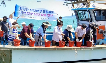 알 밴 암컷낙지 3000마리 방출한 보성군