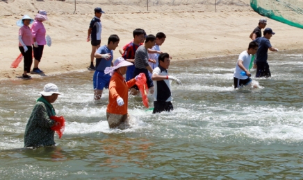 함평군 돌머리 해수욕장,뱀장어 잡기 체험 오세요