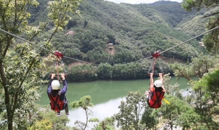 보성 제암산자연휴양림 광주 근교 피서지 인기