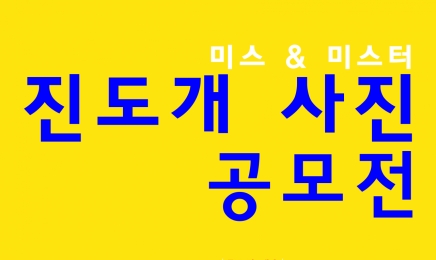 진도군,제1회 미스&미스터 진도개 사진 공모전 개최