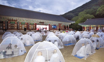 천년고찰 화엄사 이색 '모기장 영화음악회' 마쳐