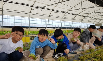 추석 연휴 전남 농촌마을서 힐링하세요