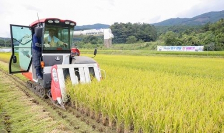 올 햅쌀 가격 20% 하락… 쌀값 폭락 ‘현실로’