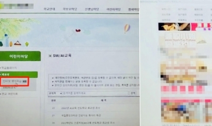 성인사이트 연결 초등 홈페이지, 8개월 노출…중학교 홈페이지도 ‘성인사이트’ 연결