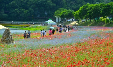 100억송이 봄꽃...장성 홍길동무 꽃길축제 5월 19일 개막