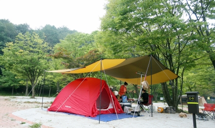 보성군, 해수욕장 장기 방치 텐트 강제 철거