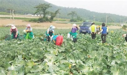 “농촌 외국인 노동자 배정을 놓고 살인까지 왜?”…·‘인력난 심각·웃돈 요구’