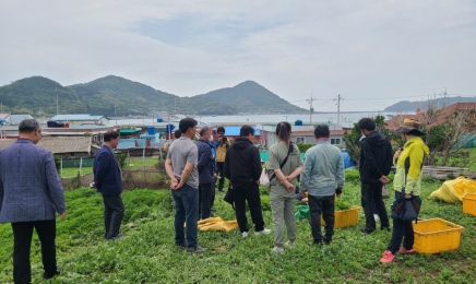 진도군 조도면, 쑥 재배 농가 선진지 견학