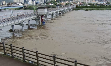 광주·전남 최대 248mm 폭우…도내 농경지 635ha 침수