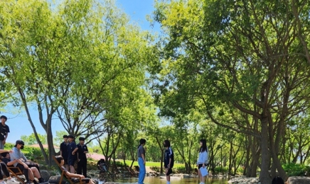 '7말8초' 놀러가든 쉬러가든 순천서 