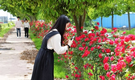 “장미 향기에 취해 함께 산책해요”