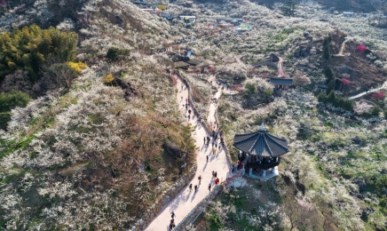 전남도, 2023년 관광객 6천300만명으로 급증