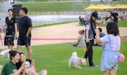 반려동물친화도시 순천서 '댕댕나이트런' 열려