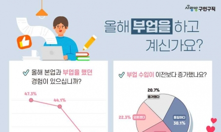 본업과 함께 부업 경험한 'N잡러'···지난해보다 증가