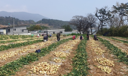 폭염·영농철 대비 농업인 안전보험 가입하세요