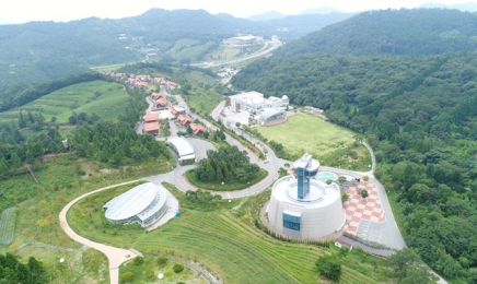 이기수 장사와 함께하는 보성녹차밭 씨름대회 '눈길'