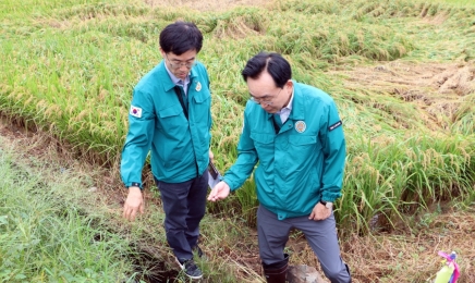 최대 275mm집중호우에 강풍 몰아쳐 … 윤병태 나주시장 피해 현장 점검