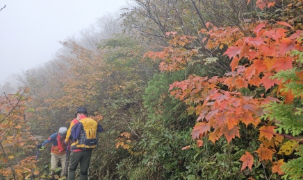 광주·전남 19일까지 강풍 동반 최대 80㎜